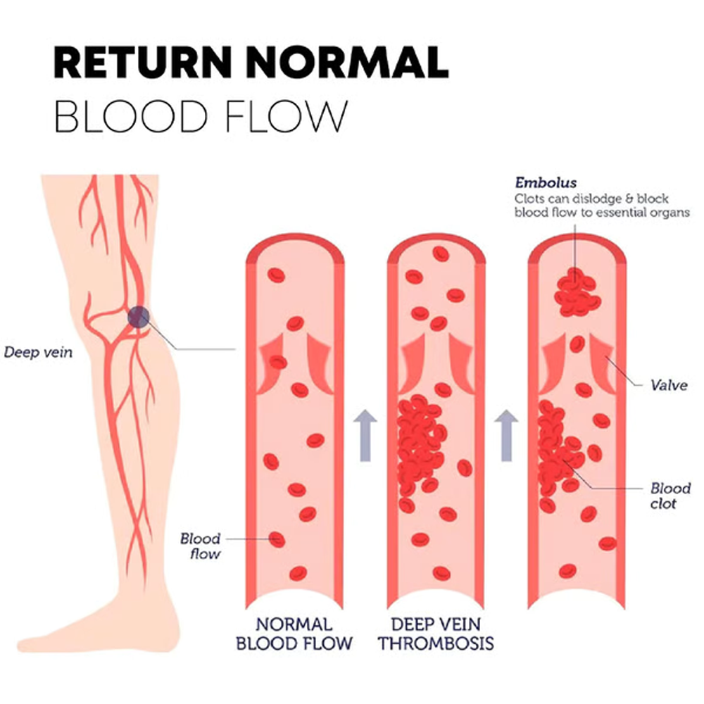 VitalCompass – Neuro Socks